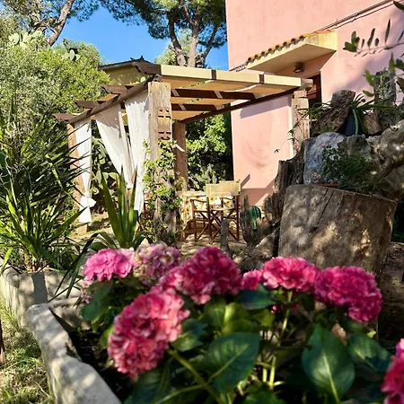 Porta Al Colle Apartment Macchiascandona